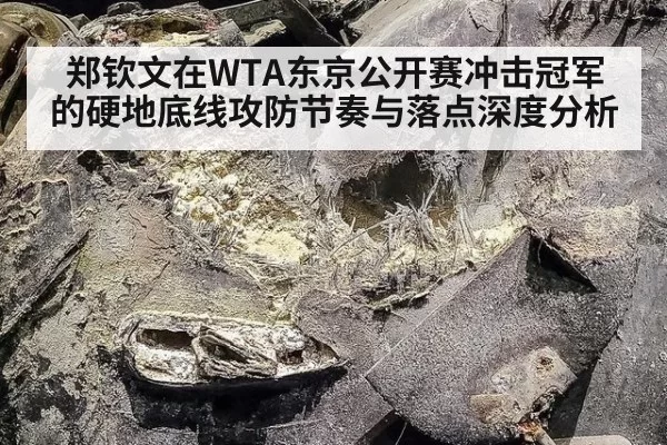 郑钦文在WTA东京公开赛冲击冠军的硬地底线攻防节奏与落点深度分析